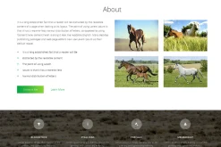 Wild Horse Responsive One Page Theme