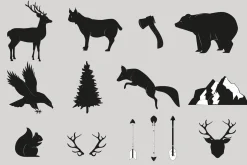 29 Wild Animals and objects set