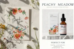 Wildflower illustration bundle