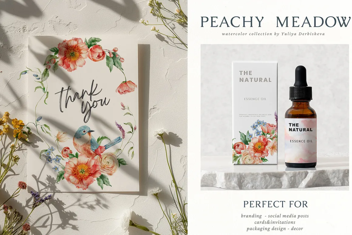 Wildflower illustration bundle