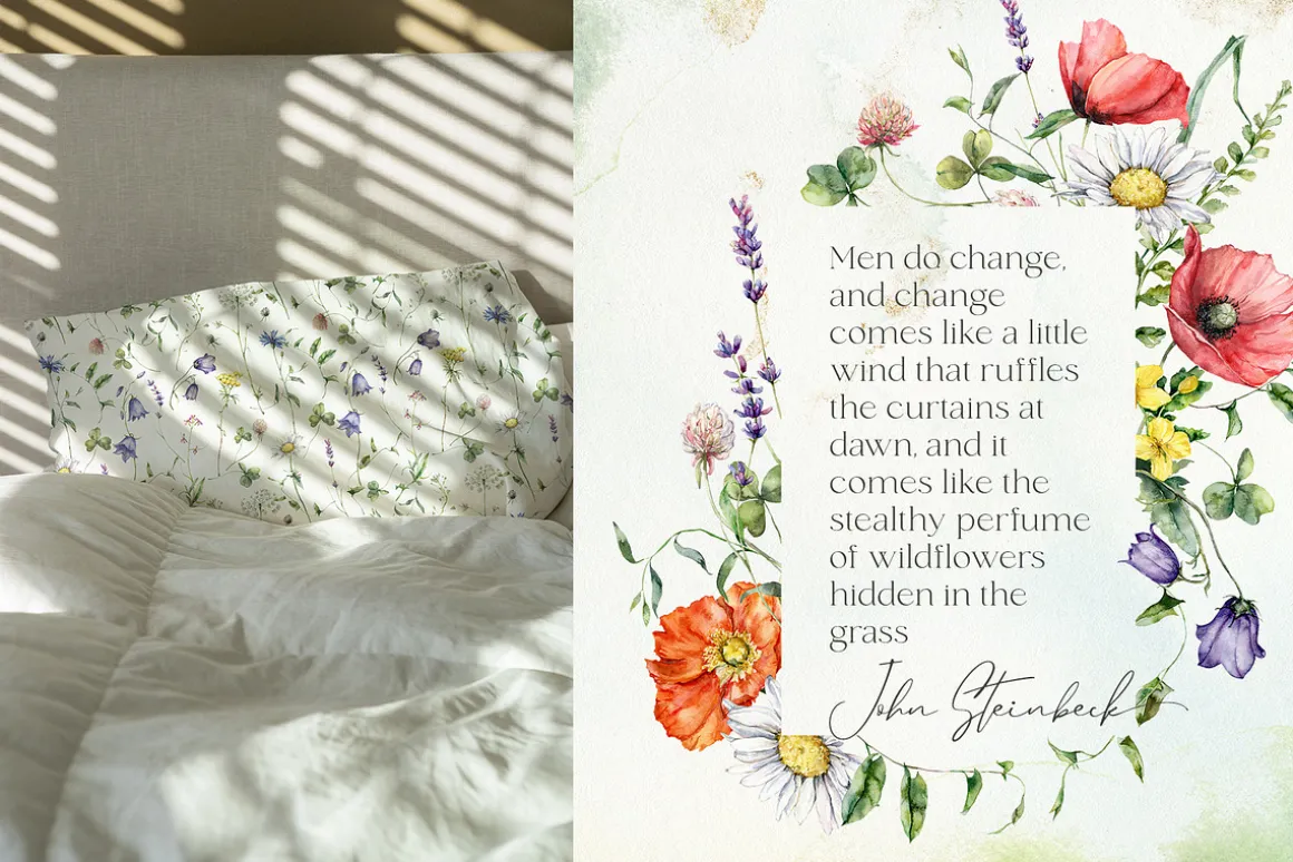Wildflower illustration bundle