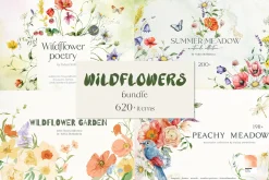 Wildflower illustration bundle