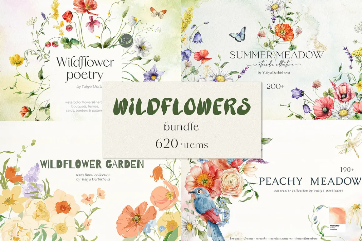 Wildflower illustration bundle