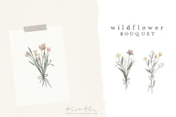 WILDFLOWER ILLUSTRATION / png