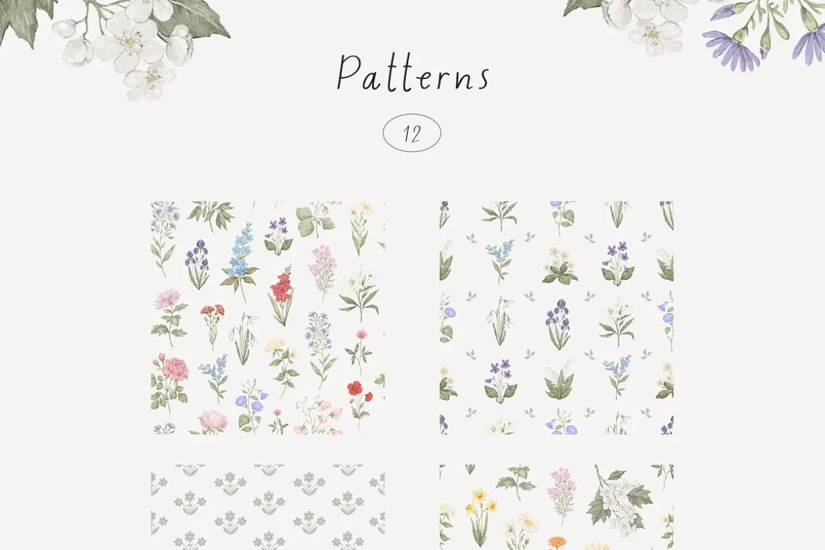 Wildflowers. Hand drawn pencil flora
