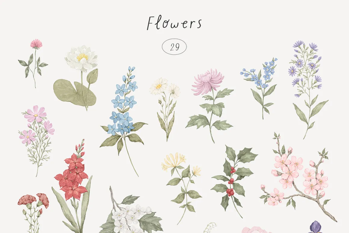 Wildflowers. Hand drawn pencil flora