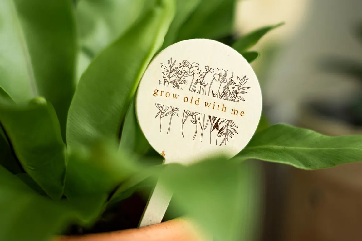 Wildflowers Line Art Collection
