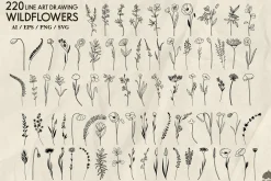 Wildflowers Line Art Collection