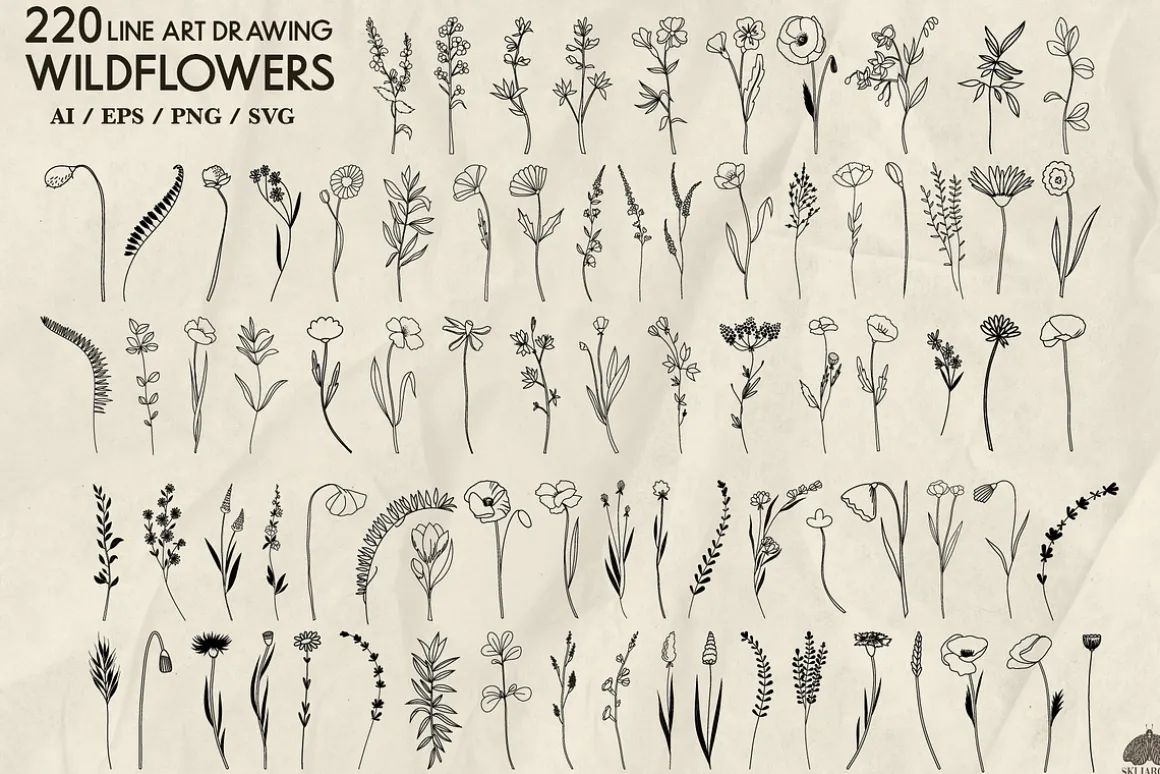 Wildflowers Line Art Collection