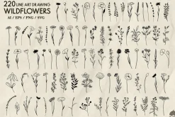 Wildflowers Line Art Collection