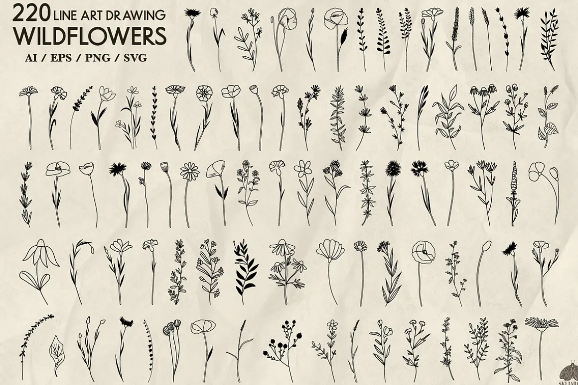 Wildflowers Line Art Collection
