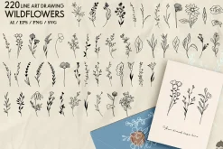 Wildflowers Line Art Collection