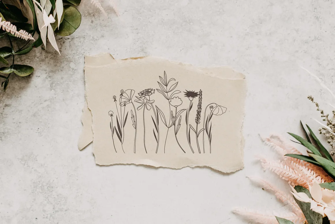 Wildflowers Line Art Collection