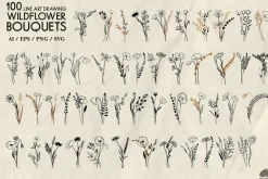 Wildflowers Line Art Collection