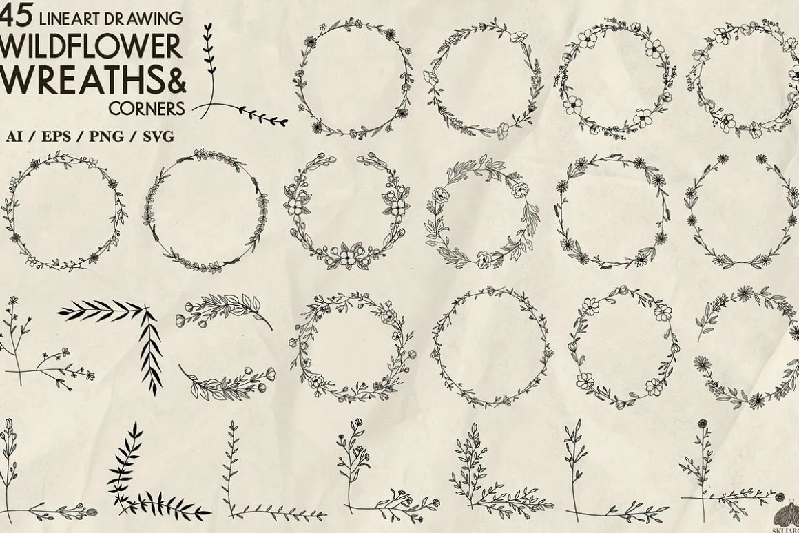 Wildflowers Line Art Collection