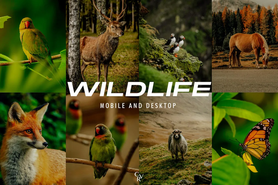15 Wildlife Lightroom Presets