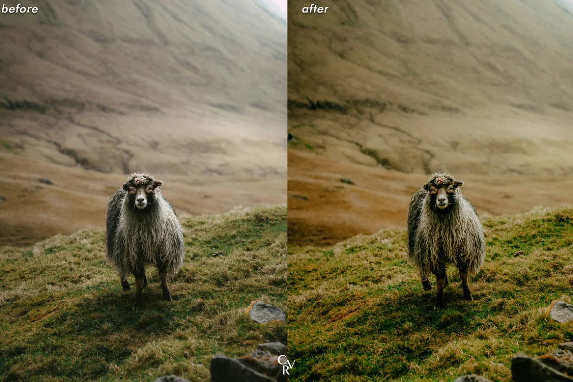 15 Wildlife Lightroom Presets