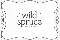 Wild Spruce | Modern Serif Font