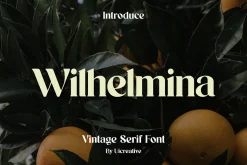 Wilhelmina Vintage Serif Font