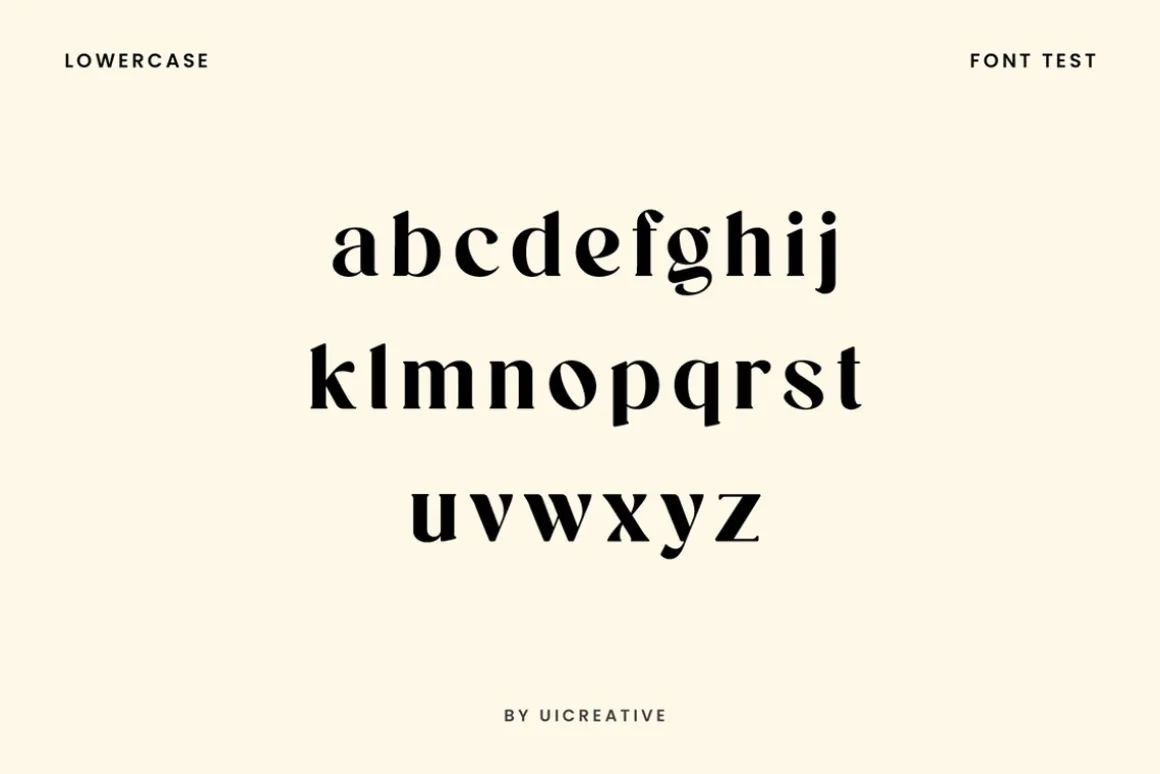 Wilhelmina Vintage Serif Font