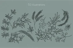 Winter line drawing collection
