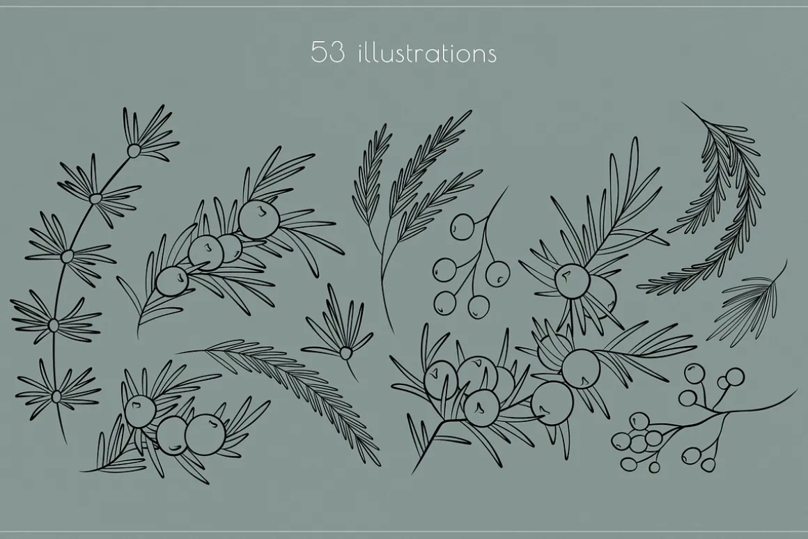 Winter line drawing collection