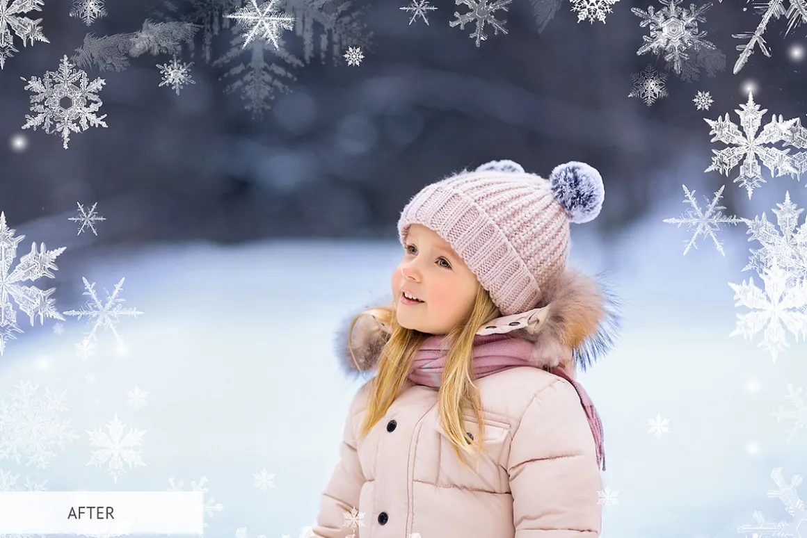 Winter Snowflakes Overlays Photoshop