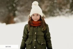 Winter Snowflakes Overlays Photoshop