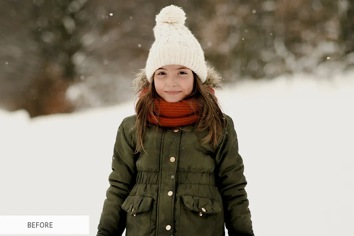 Winter Snowflakes Overlays Photoshop
