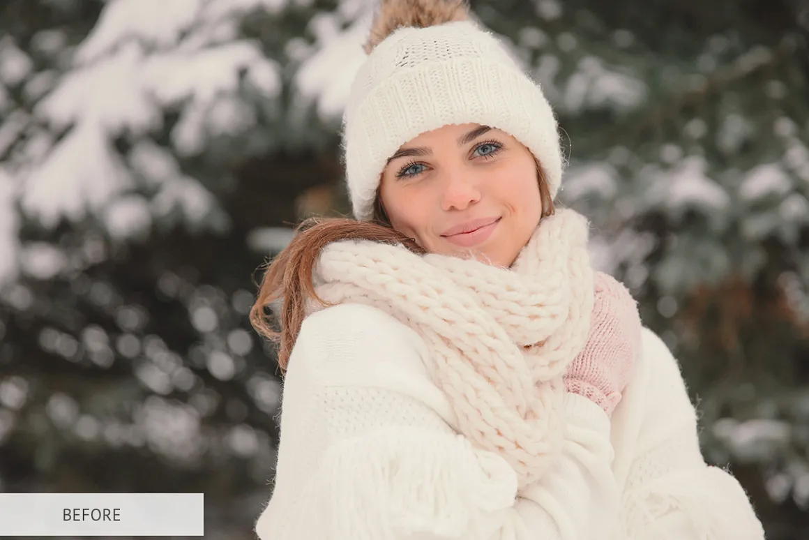 Winter Snowflakes Overlays Photoshop