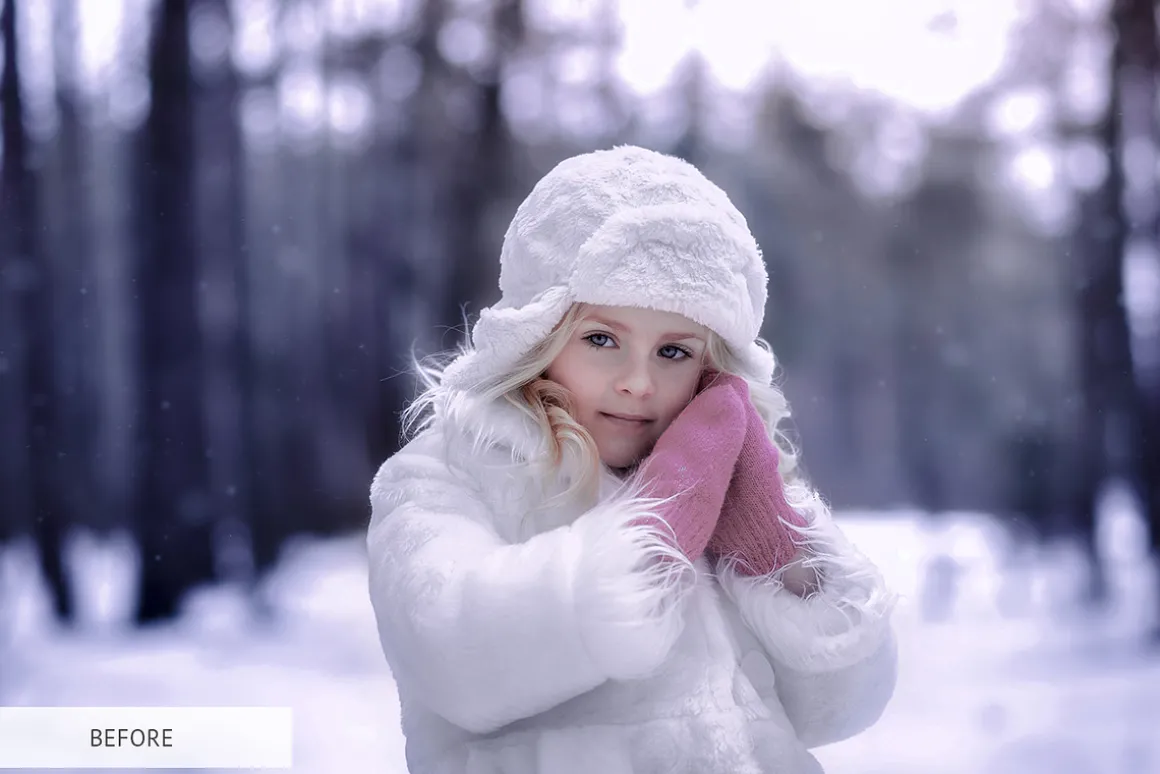 Winter Snowflakes Overlays Photoshop