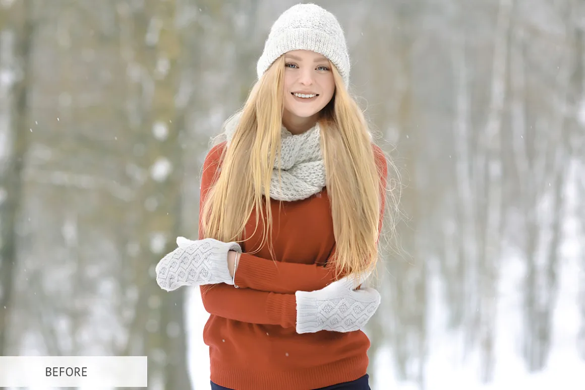 Winter Snowflakes Overlays Photoshop