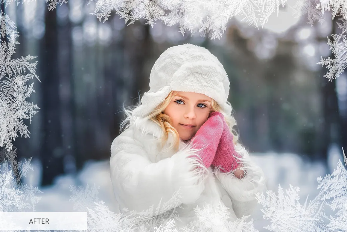 Winter Snowflakes Overlays Photoshop