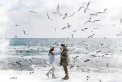 Winter Snowflakes Overlays Photoshop