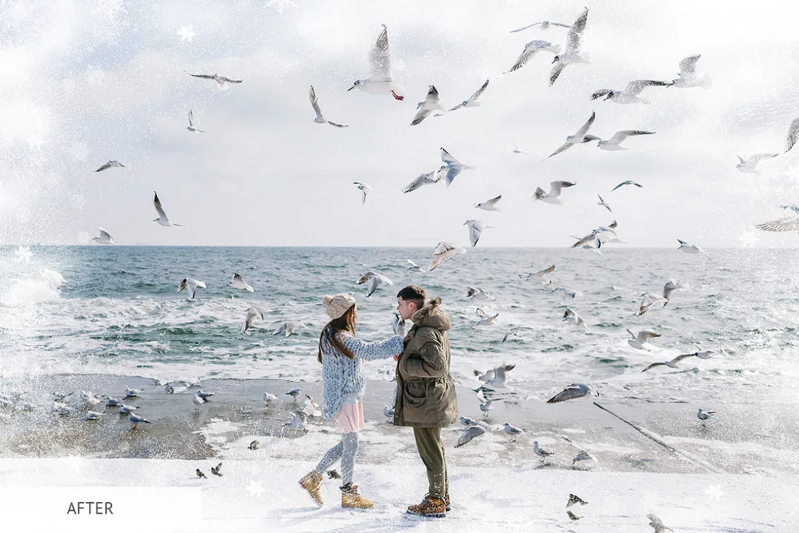 Winter Snowflakes Overlays Photoshop