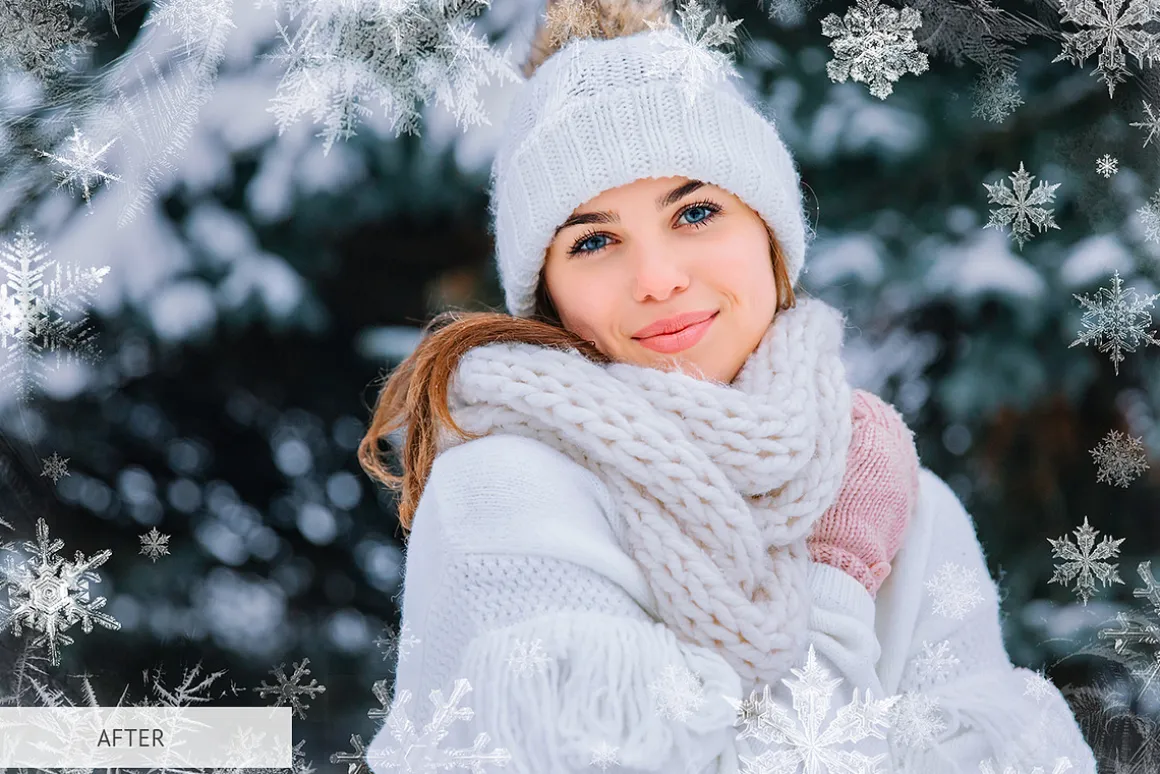 Winter Snowflakes Overlays Photoshop