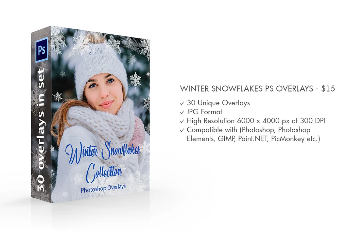 Winter Snowflakes Overlays Photoshop