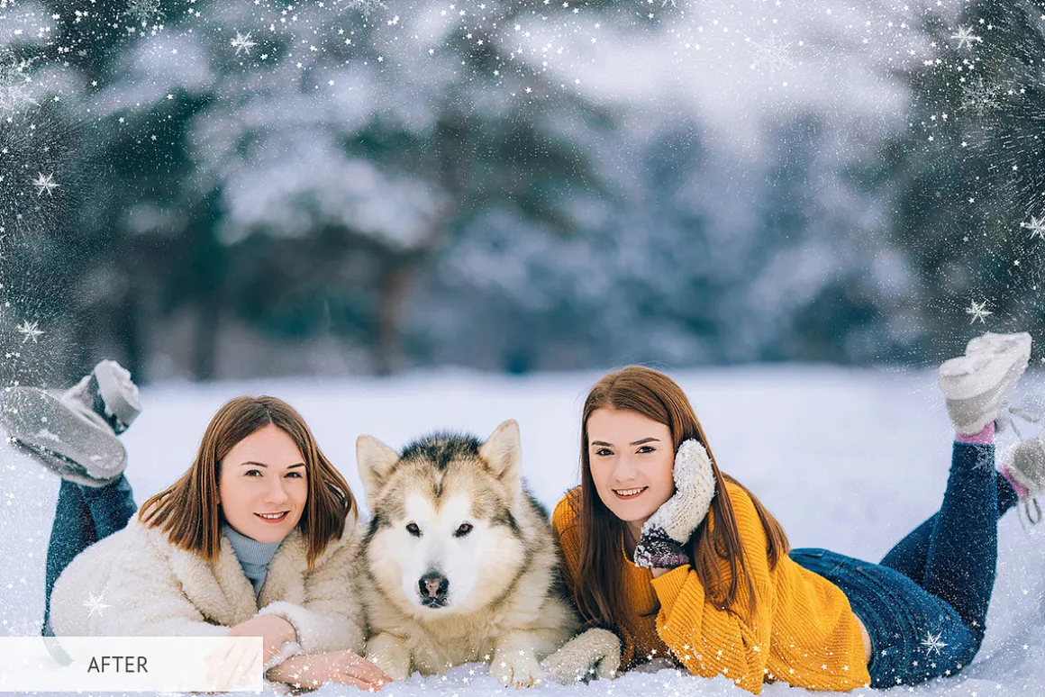 Winter Snowflakes Overlays Photoshop