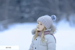 Winter Snowflakes Overlays Photoshop