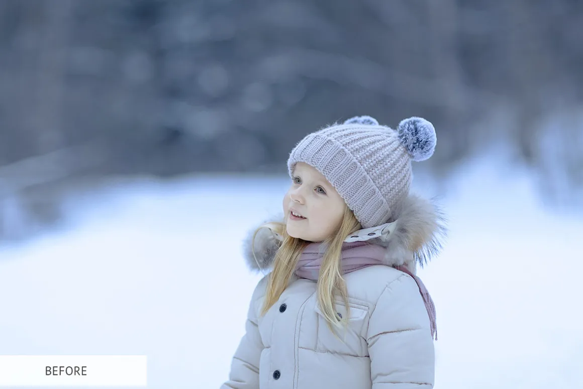 Winter Snowflakes Overlays Photoshop