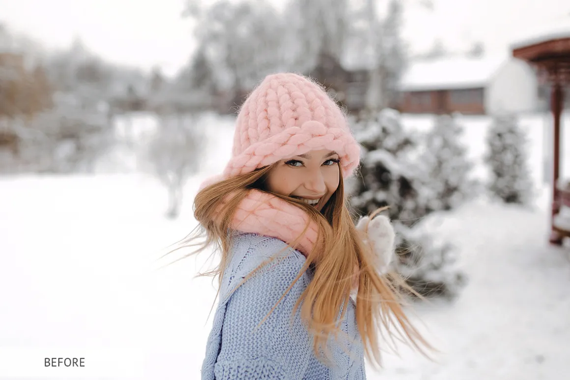 Winter Snowflakes Overlays Photoshop