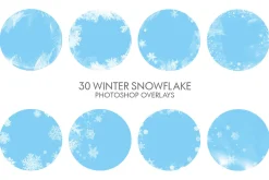 Winter Snowflakes Overlays Photoshop