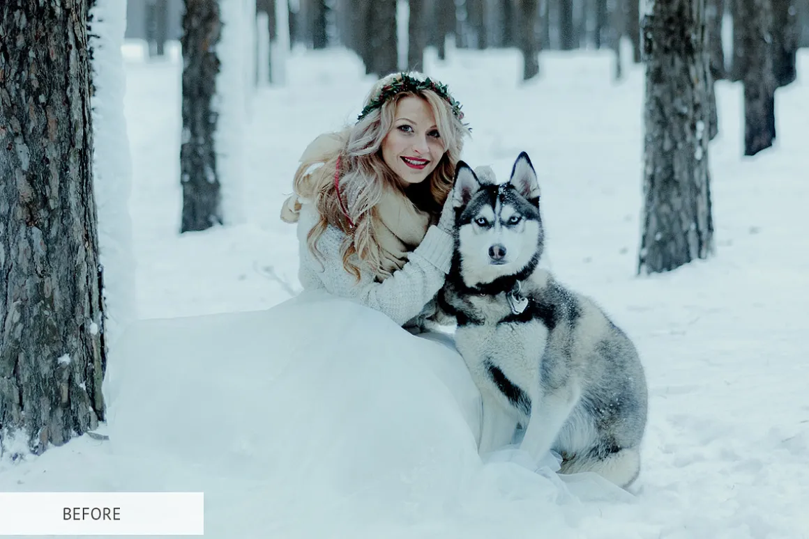 Winter Snowflakes Overlays Photoshop