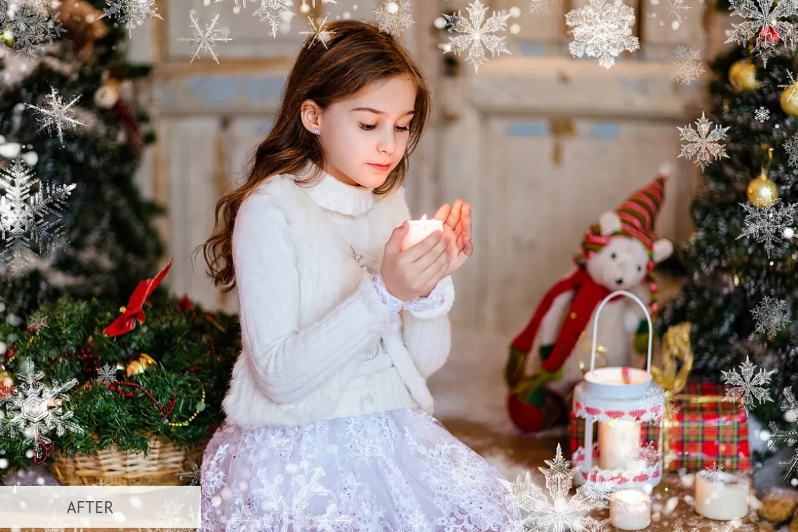Winter Snowflakes Overlays Photoshop