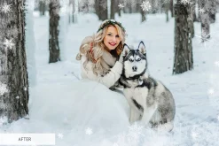Winter Snowflakes Overlays Photoshop