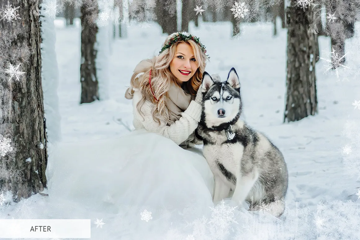 Winter Snowflakes Overlays Photoshop