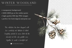 Winter Woodland
