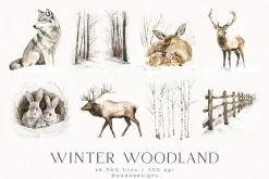 Winter Woodland