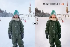 Winterdale Lightroom Presets