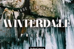 Winterdale Lightroom Presets